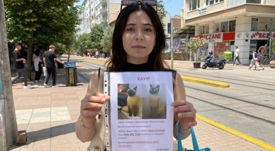 Herkes bayramı kutlarken o sokak sokak kayıp kedisini aradı
