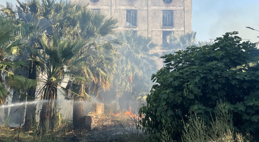 İzmir'de boş arazide çıkan yangın mahalleye sıçradı