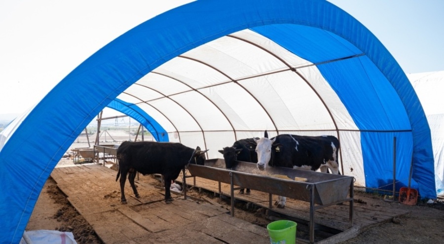 Ankara'da hayvan pazarlarındaki çadırlar toplanıyor