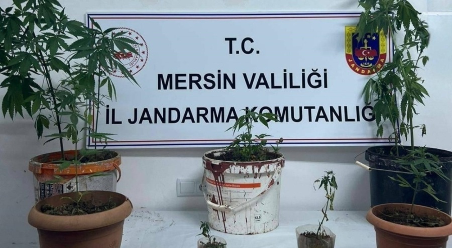 Uyuşturucu operasyonunda yakalanan 4 zanlıdan 1'i tutuklandı