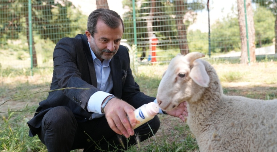 Gürsu'ya butik hayvanat bahçesi