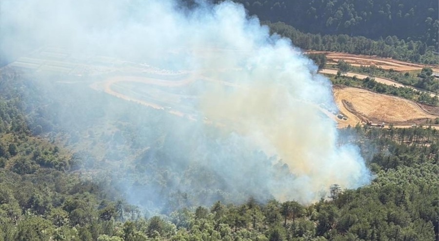 Balıkesir'de orman yangını!