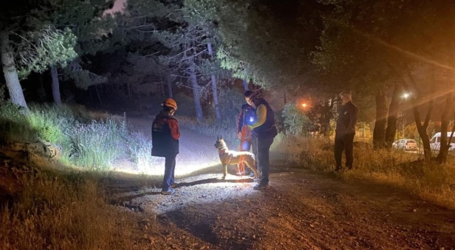 Gizemli kayıp! Ormana girdi, bir daha çıkamadı