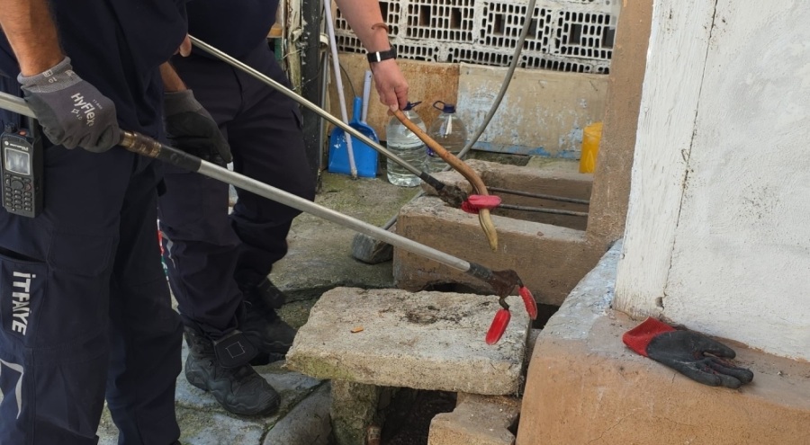 Bursa'da bir evin bahçesinde oluklu kertenkele yakalandı!