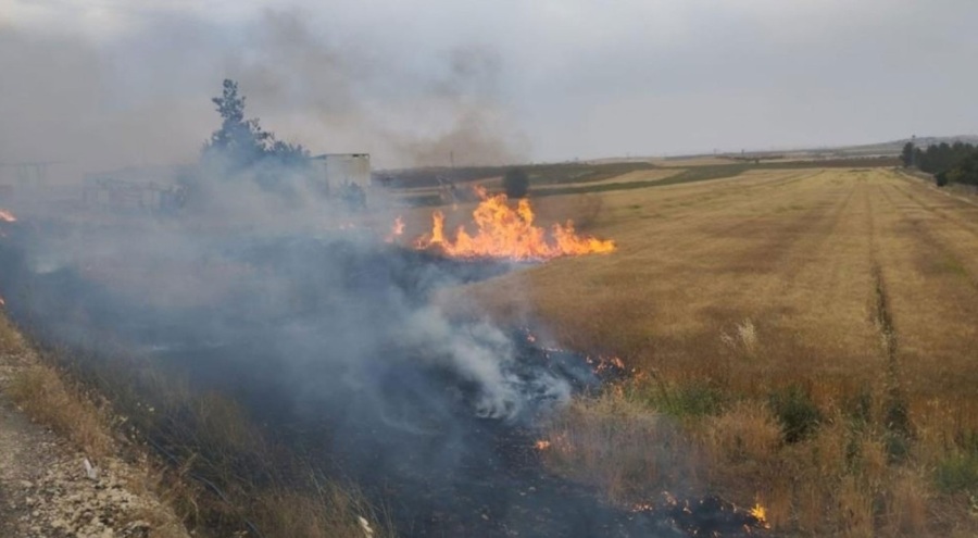 Şanlıurfa'da orman yangını