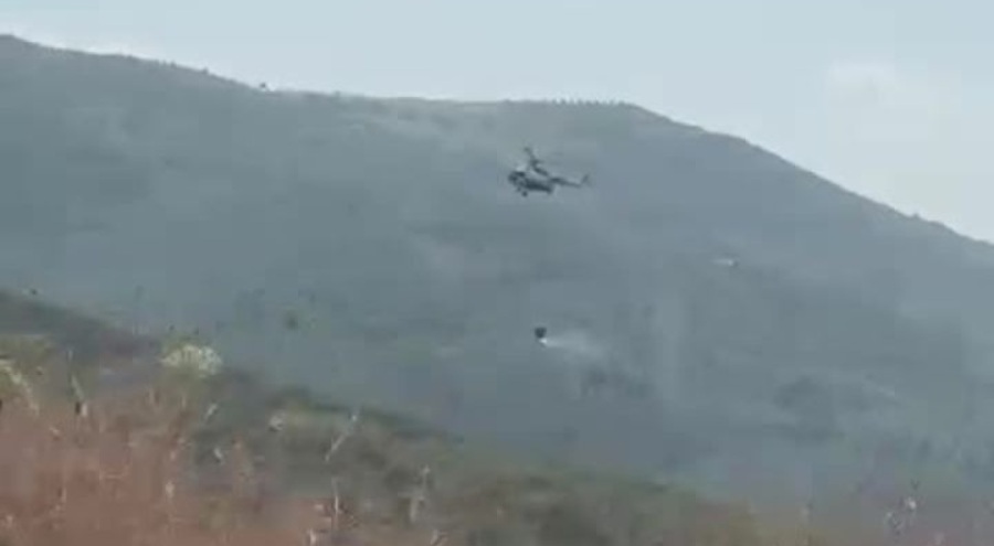 Bursa'da orman yangını!