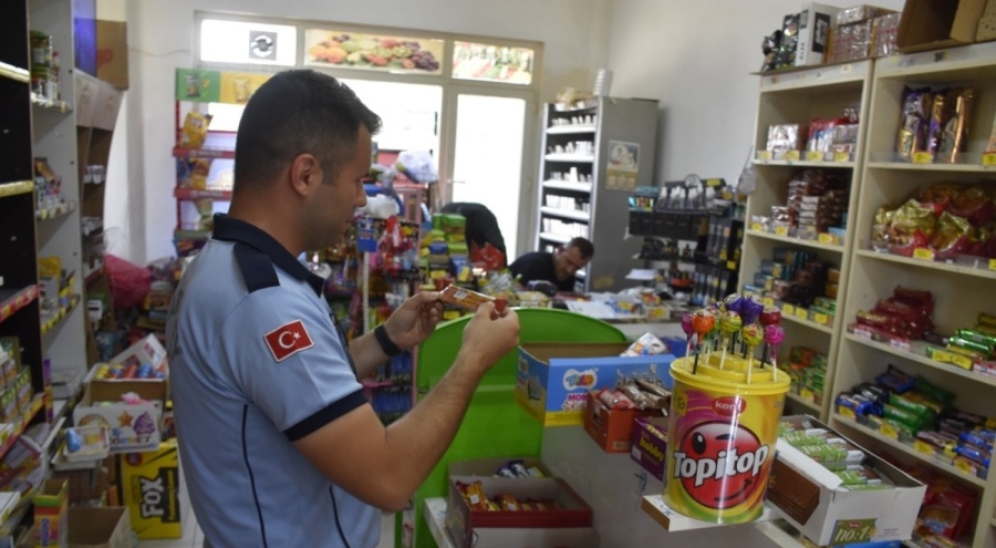 Karacabey'de köylerde denetimlere başladı