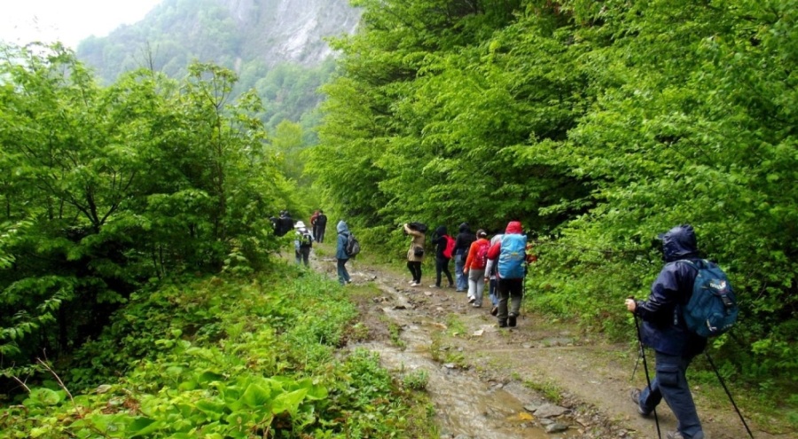 Trabzon'da doğa yürüyüşü yapan 75 kişi kayboldu!