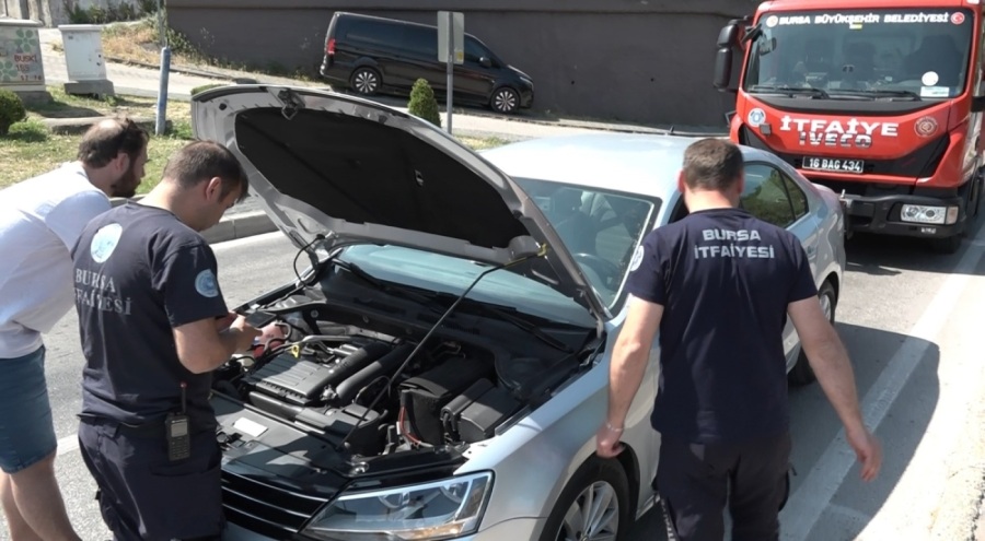 Bursa'da yavru kedi trafiği kilitledi! Kırmızı ışıkta seferberlik