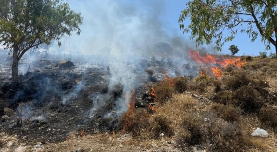 Bodrum'da orman yangını