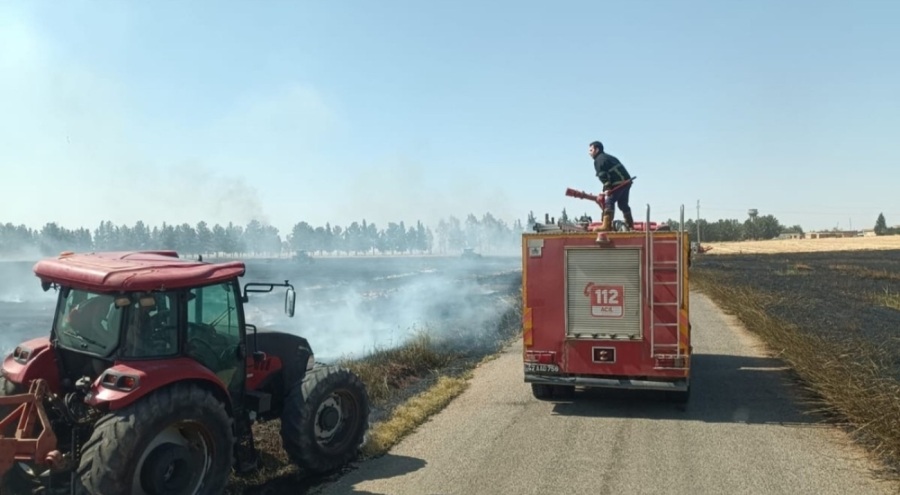 Yaklaşık 350 dekar buğday ekili alan yandı