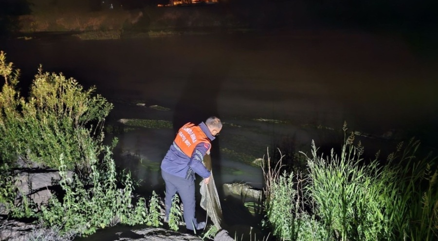 Kaçak avlanan 1 ton 970 kilogram inci kefali ele geçirildi