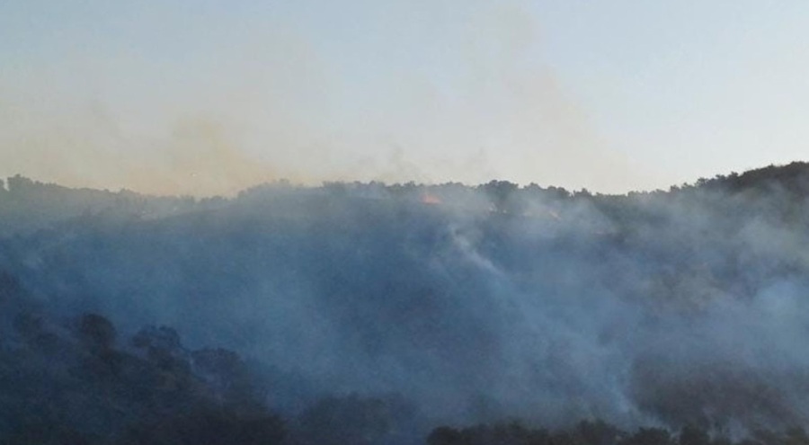 Hatay'da orman yangını!