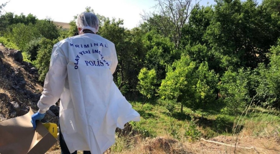 Ağaca asılı halde erkek cesedi bulundu!