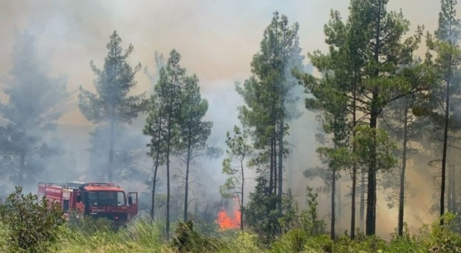 Mersin'de orman yangını