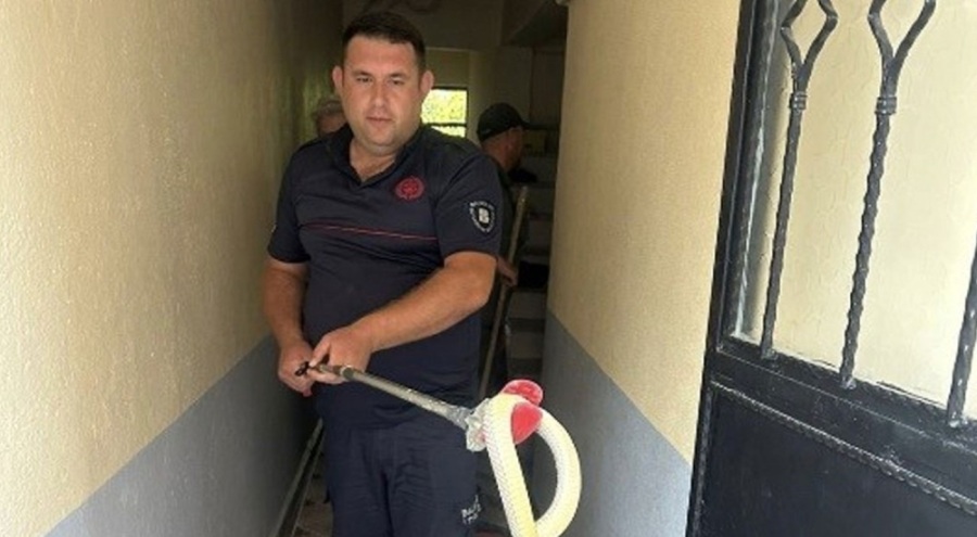 Eve giren yılan korkuya sebep oldu