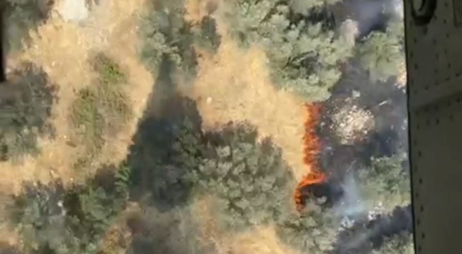 Ayvalık'ta zeytinlik alanda yangın