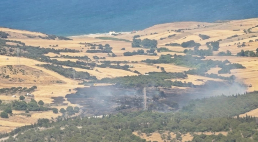 Çanakkale'de tarım arazisinde başlayıp ormana sıçrayan yangın kontrol altında