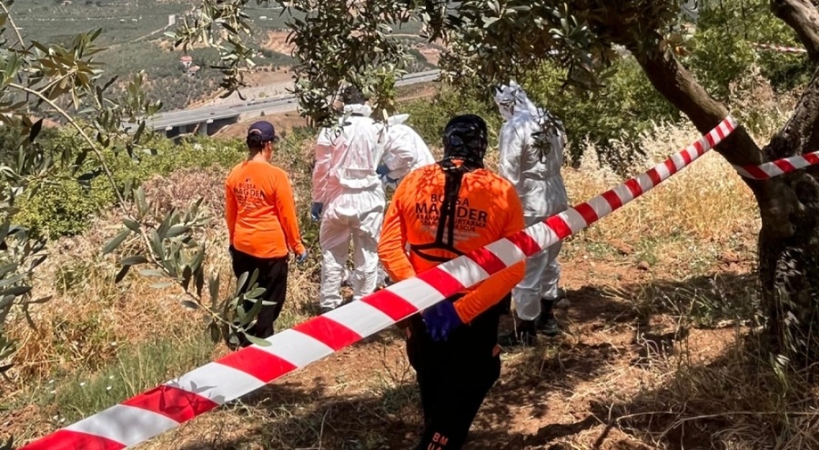 Bursa'da 5 gündür aranıyordu! Zeytinlik alanda ölü bulundu