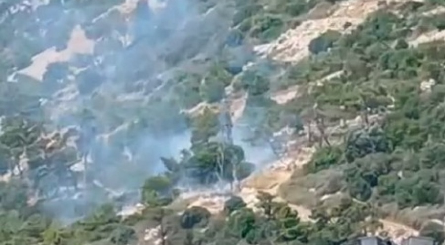 Antalya'da ormanlık alanda yangın