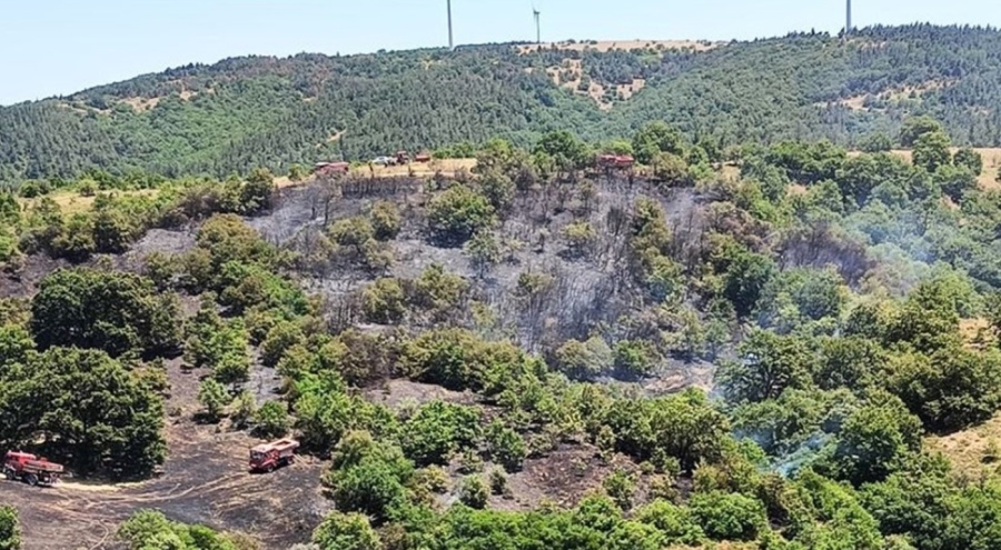Balıkesir'de orman yangını