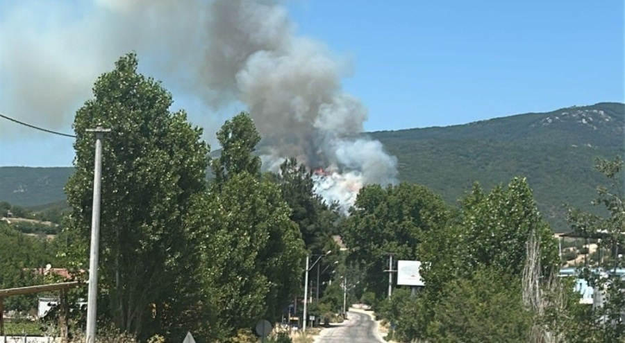 Bursa Yenişehir'de orman yangını! Havadan ve karadan müdahale ediliyor