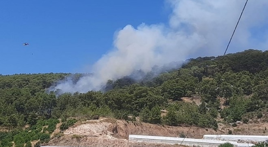 Kumluca'da orman yangını