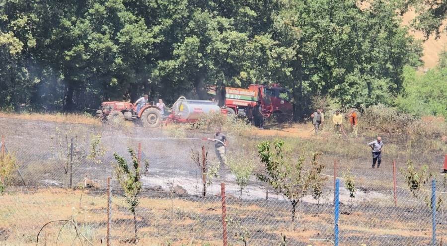 Bursa Kestel'de tarla yangın!