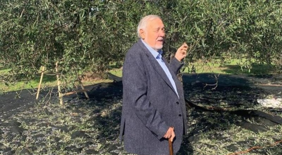 İlber Ortaylı'dan zeytinlikler için çağrı