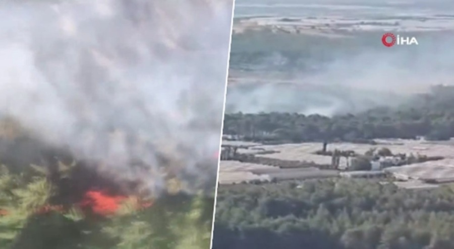 Antalya yeni güne orman yangınlarıyla başladı