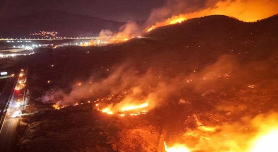 Aliağa'daki orman yangınına neden olan şüpheli tutuklandı