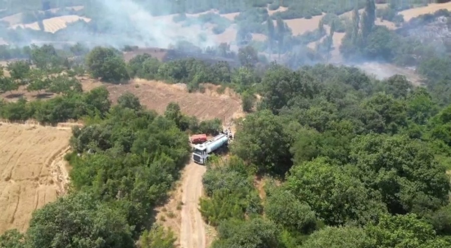 Bursa İnegöl'de orman yangının çıkış nedeni ortaya çıktı