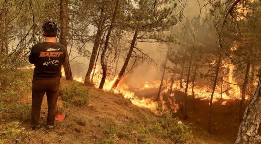 Bilecik'te devam eden orman yangınına BAKUT Bursa ekibinden destek!