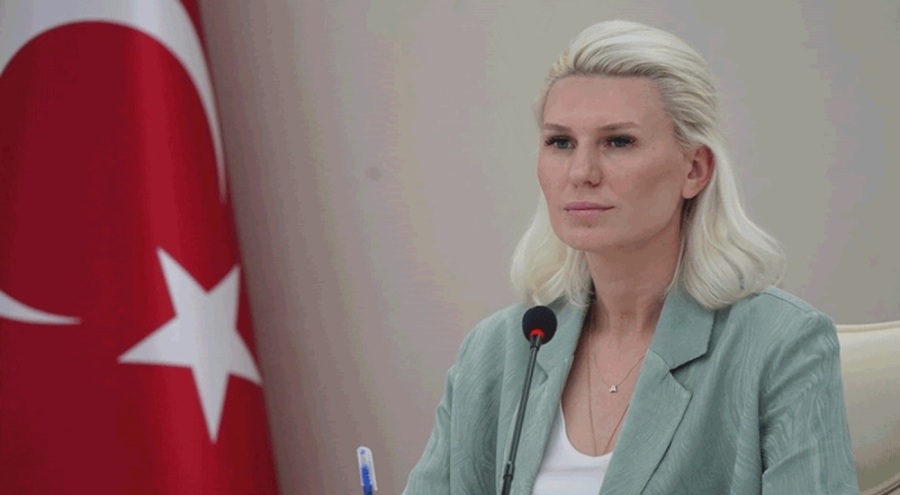 Bilecik Belediye Başkanı Subaşı acil hava aracı çağrısında bulundu: 14 köy boşaltıldı, 4 köy tama...