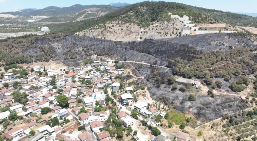 Bursa'da yangının ardından zümrüt yeşili orman manzaraları kömürlüğe döndü