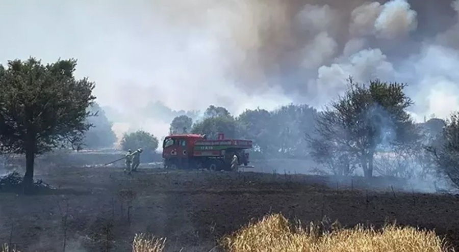 Çanakkale'de orman yangınlarıyla ilgili 26 kişi hakkında adli işlem başlatıldı