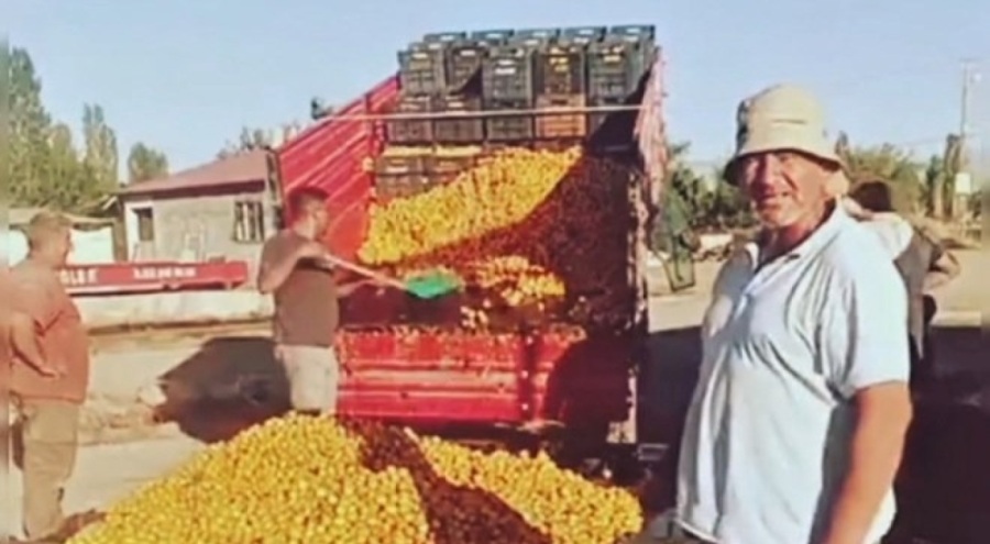 'Iğdır'da kayısı 1 TL, İstanbul'da 120 TL' paylaşımına ceza!