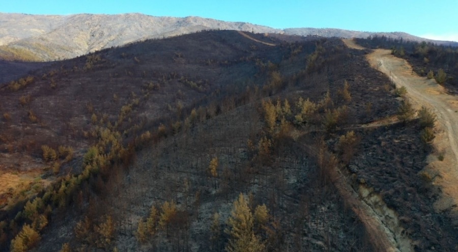Hatay'da devam eden orman yangınında zarar gören yerler havadan görüntülendi