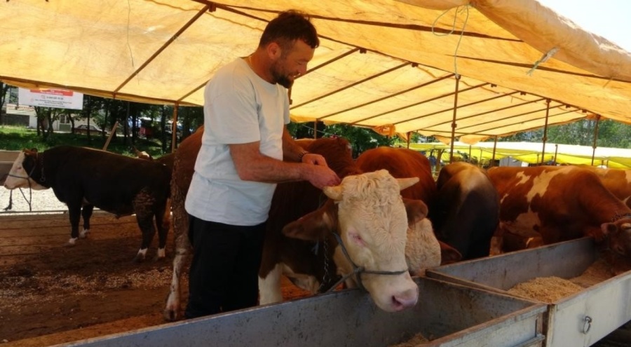 Bakanlık 'Acele' kodlu yazıyla duyurdu: Tüm hayvan pazarları kapatıldı