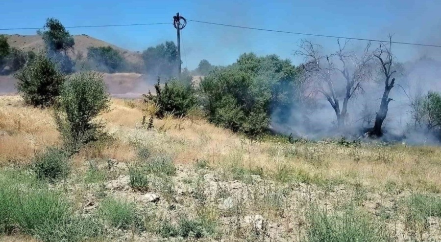 Elazığ'da korkutan yangın!