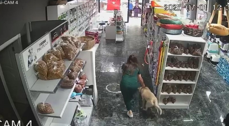 Bursa'da deprem sırasında tedavi gören köpeği içeride bırakmadı