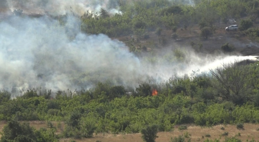 Kırklareli'nde ağaçlık alanda yangında150 dekar alan zarar gördü