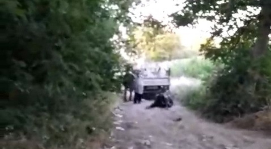 Bursa'da hayvana şiddet kamerada! Sürükleyip sopayla dövdü
