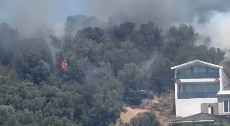 Mudanya'da ağaçlık alanda yangın çıktı!
