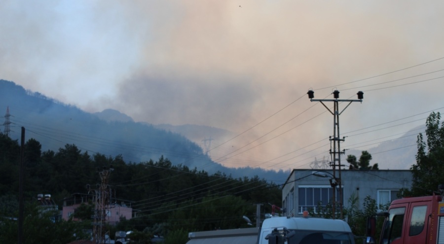 Hatay'da orman yangınına havadan müdahale yeniden başladı