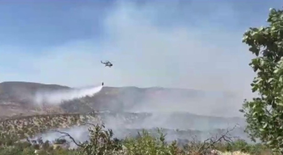 Şırnak'taki orman yangını kontrol altında!