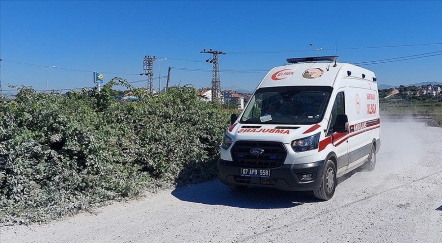 Manavgat'ta hayvan parkından firar eden aslan vuruldu!