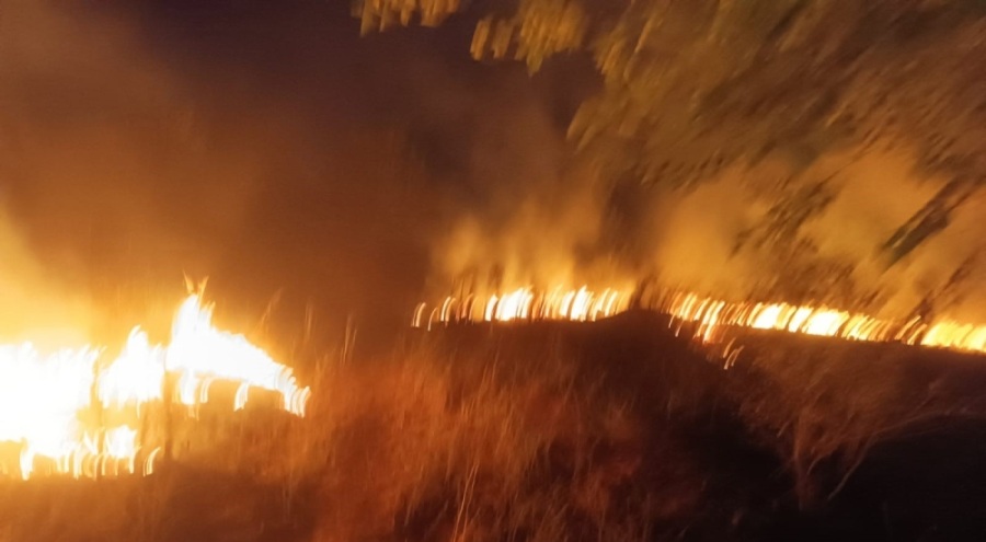 Bursa'da otluk alanda çıkan yangın ağaçlık alana sıçradı!