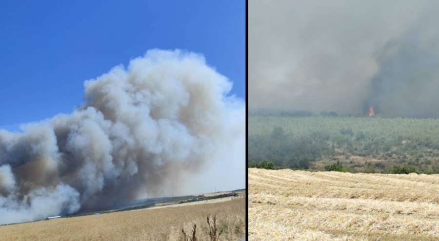 Eski AK Partili başkan, orman yangını çıkardığı için tutuklandı