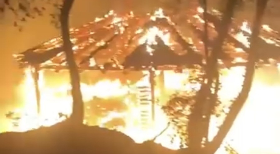 Bursa'da söndürülmeden bırakılan piknik ateşi yangına neden oldu!
